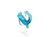 http://www.drapeaumartin.com/files/gimgs/th-109_SKM_308e24121412411.jpg