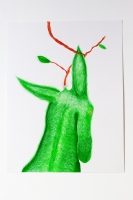 http://www.drapeaumartin.com/files/gimgs/th-99__MG_5851.jpg